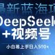 全新蓝海项目DeepSeek 微信视频号，新手上手快日入多张-zw518网创导航