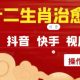 疯狂火爆！抖音，小红书，视频号十二生肖治愈的视频，轻松变现-zw518网创导航