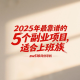 2025年最靠谱的5个副业项目，适合上班族-zw518网创导航