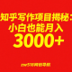 《知乎写作项目揭秘：小白也能月入3000+》-zw518网创导航