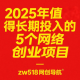 2025年值得长期投入的5个网络创业项目（含实操路径） – zw518网创导航