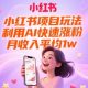 小红书项目玩法，利用AI快速涨粉，月收入平均1W+【-zw518网创导航】