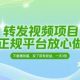 转发视频项目，正规平台放心做，无粉丝要求，发了就有收益，一天3张-zw518网创导航