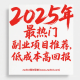 2025年最热门副业项目推荐，低成本高回报-zw518网创导航