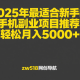 2025年最适合新手的手机副业项目推荐，轻松月入5000+ -zw518网创导航