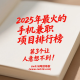 2025年最火的手机兼职项目排行榜，第3个让人意想不到！ -zw518网创导航