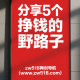 分享5个挣钱的野路子 -zw518网创导航