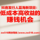 抖音发行人蓝海新项目：低成本高收益的赚钱机会 – zw518网创导航