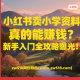 小红书卖小学资料真的能赚钱？新手入门全攻略曝光！ –zw518网创导航