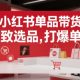 小红书单品带货，极致选品，打爆单品内部教程-zw518网创导航