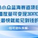 小众蓝海赛道项目：当天变现1K+适合新手操作 +适合长期玩-zw518网创导航
