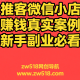 推客微信小店赚钱真实案例，新手副业必看指南 – zw518网创导航